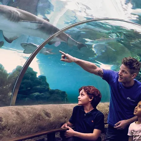 بيت للعطل Amazing In With Wifi *